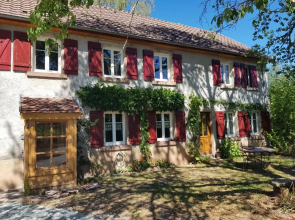 Le jardin des gouttes