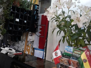 Hostal Bellavista Inn and Hostal Terrabella S.R.L.