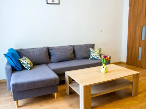 Apartament Brązowy Narutowicza 11