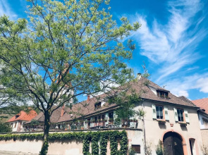 Aux Deux Cigognes Ammerschwihr