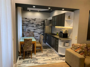 Grey central apartment