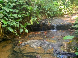Private jungle “Loft del Rio” river access