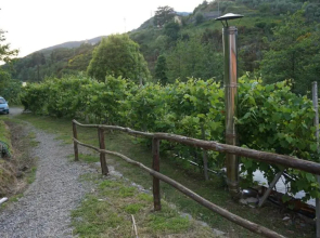 Agriturismo U Muinettu