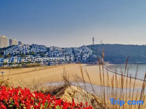 Dai shan hai zhi yu holiday hotel