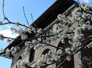 Appartamenti Villa Mascagni