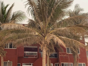 Ngor House