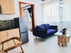 Cosy appart au cœur du Plateau