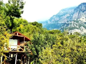 Kabak Natural Life