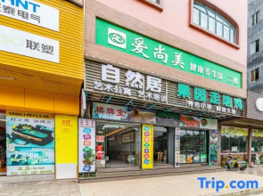 Nature House Art Apartment