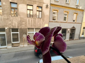 Apartment Centar
