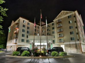 Holiday Inn Express & Suites Asheville Downtown by IHG
