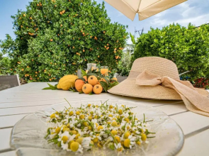 Olga's Organic garden Home for a couple! with Wifi & AC