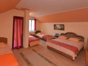 Guest house Vila Bor