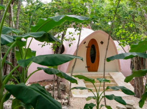 Room in Lodge - Unique Jungle Dome 2 Queen Beds