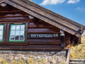 Stunning Home in Hemsedal With Wifi and 3 Bedrooms
