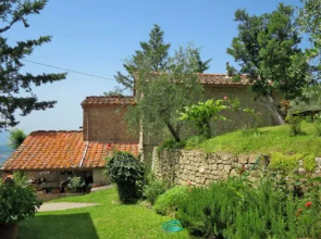 Belvedere - Gelsomino (CFS230)