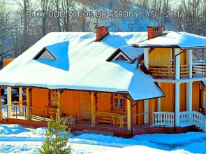 Bieszczady Sosnowa Aleja