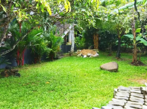 Best Modern Apt,2 AC BR in Sri Lanka