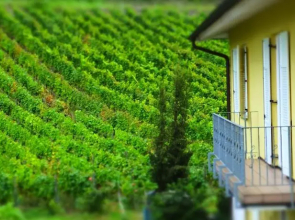 Hotel Gästehaus am Drachenloch