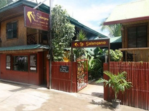 La Salangane