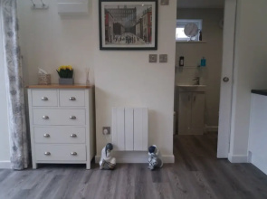 Modern Detached Bungalow