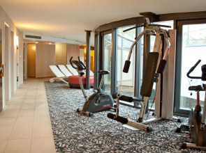 Alpha Palmiers by Fassbind