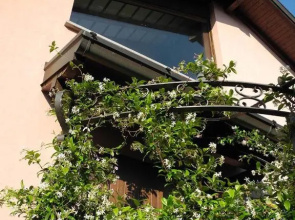 Villa Campo dei Fiori