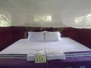 Ecolucerna Lodge Tambopata