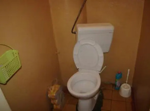 Cat's house Хостел