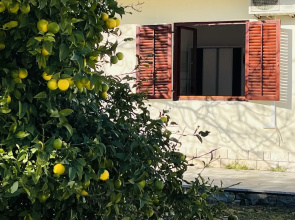 Beachfront Apartment Drazen, With Patio & Parking