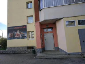 Каммин