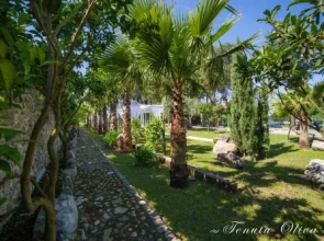 Tenuta Oliva