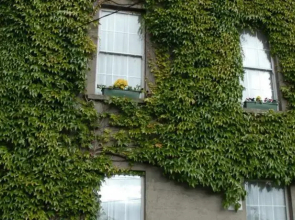 Brighton House Guesthouse Ireland