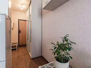 Стрелка на улице Бурнаковская 93