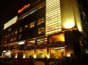 Pipal Tree Hotel