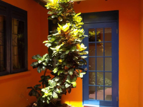 La Terrasse Inn