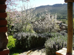 Rural Farmhouse in Valencia de Alcántara With Pool