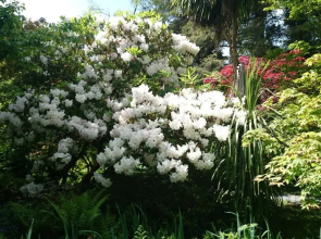 Kilmokea Garden Suite