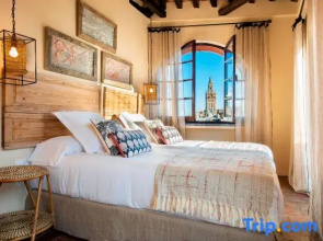 Spectacular 3BD duplex in heart of Seville. San Isidoro Terrace