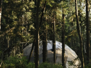 Вили Улей Карелия