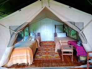 Sekenani Camp