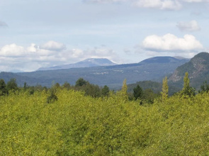 Complejo Buenavista Pucon