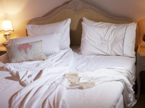 Amaryllis Boutique Guest House