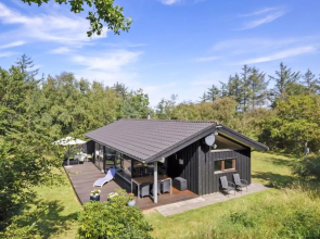 "Deni" - 800m from the sea in NW Jutland