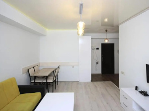 47A Excellent apartment center capital