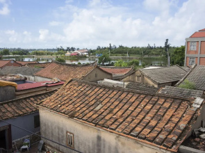 Horseshoe Crab Cottage - Hostel
