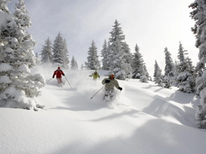 3 Bedroom Mountain Vacation Rental in the Heart of Vail Village