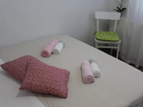 Apartment Milica