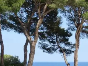Eden Mar V