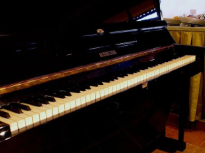 Hotel Uyan - Special Class